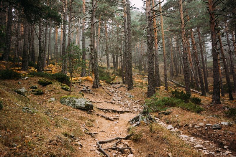 First climb from Cercedilla