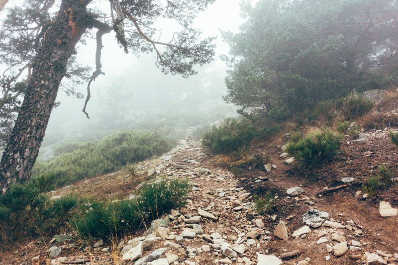 Climbing the trails from Cercedilla