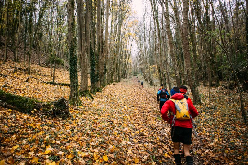 CTS Dorset ultramarathon