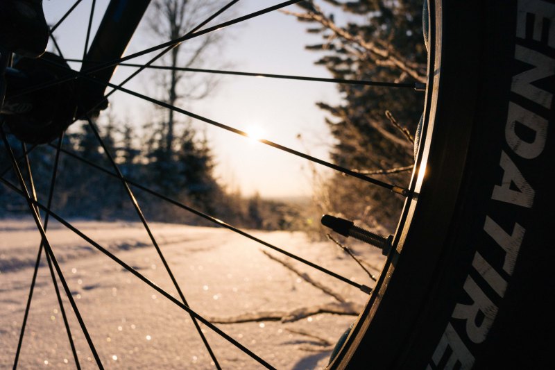 Kendatires in the winter