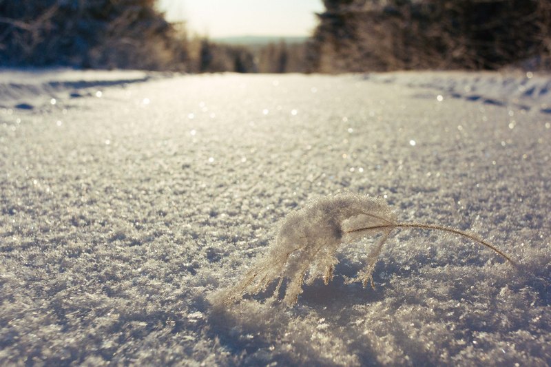 Crystal Snow on a cold winter day