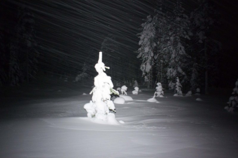 Alone in the darkness in Rovaniemi 150