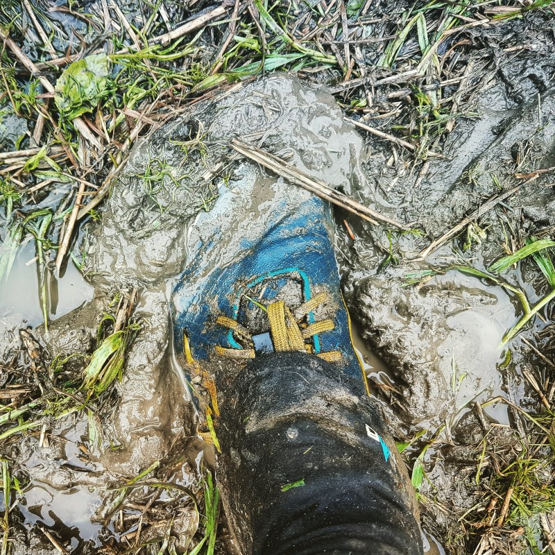 Muddy going in Lappee Jukola 2016