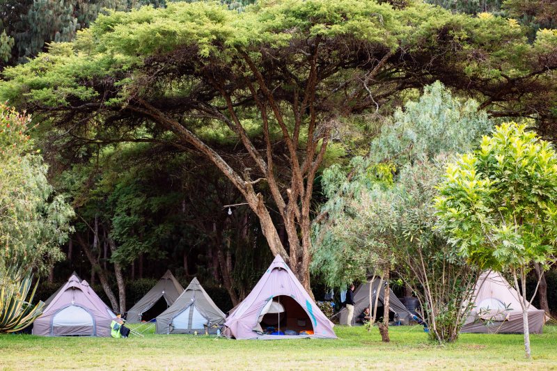 Camp 2 at Kilimanjaro Stage Run