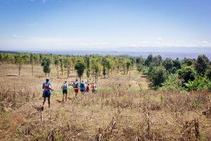 Passing through farmlands on Day 2 of Kilimanjaro Stage Run