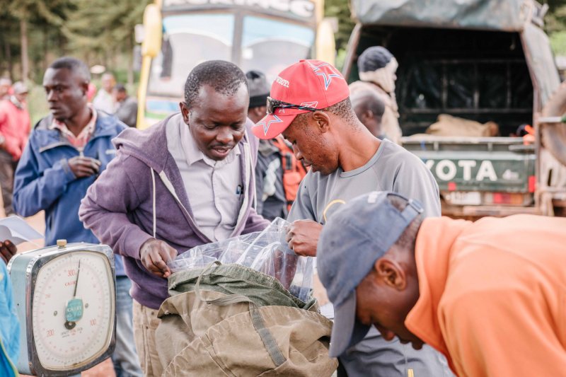 Weighting and packing before Kilimanjaro climb