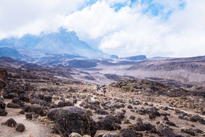 Heading towards Lava Tower, Kilimanjaro