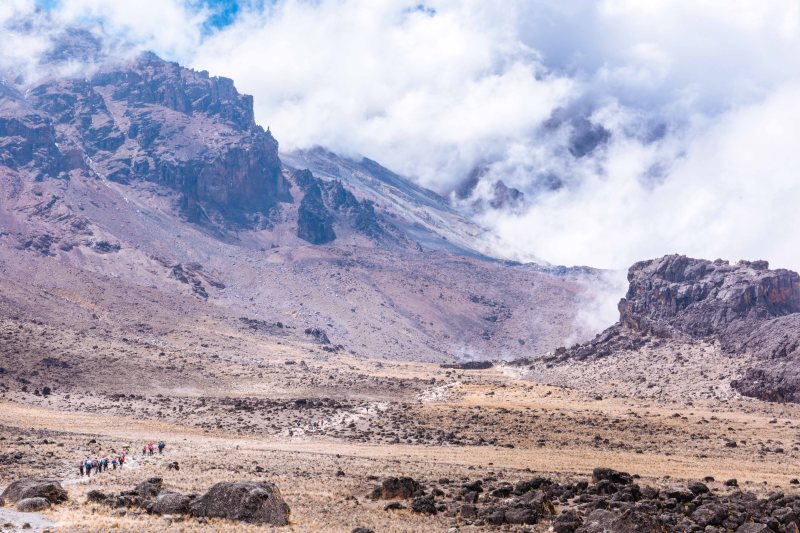 Lava Tower, Kilimanjaro