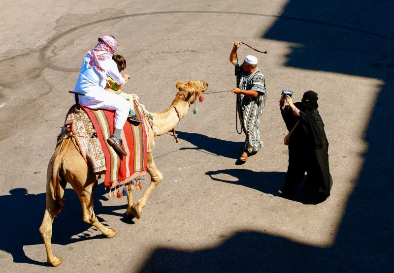 Camel riding, Syria